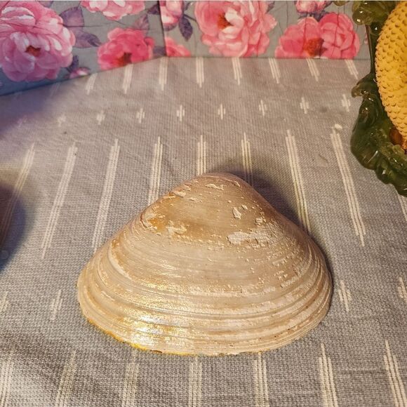 DECOUPAGE BUNNIES ON A CLAM SHELL - Picture 8 of 8